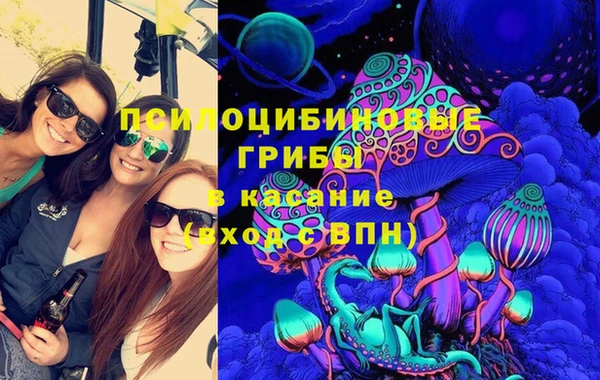 ПСИЛОЦИБИНОВЫЕ ГРИБЫ Козельск