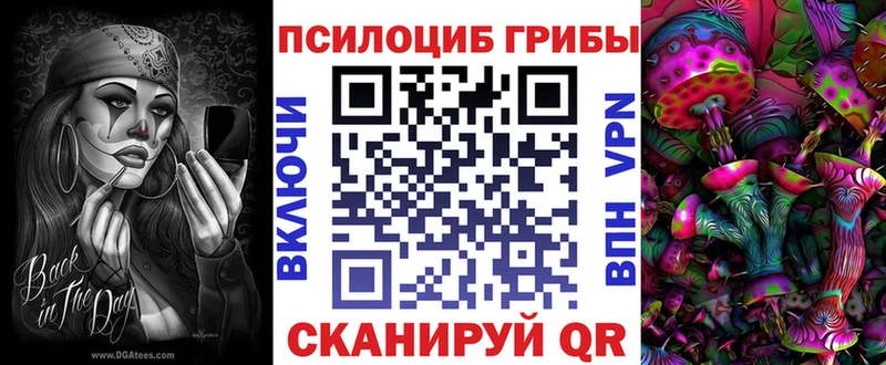 Галлюциногенные грибы прущие грибы  Гаврилов Посад 